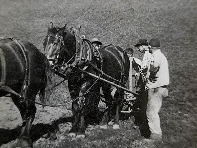 Landwirtschaft früher
