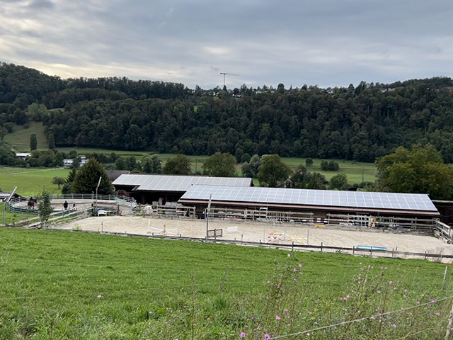 Der Reitplatz und Roundpen