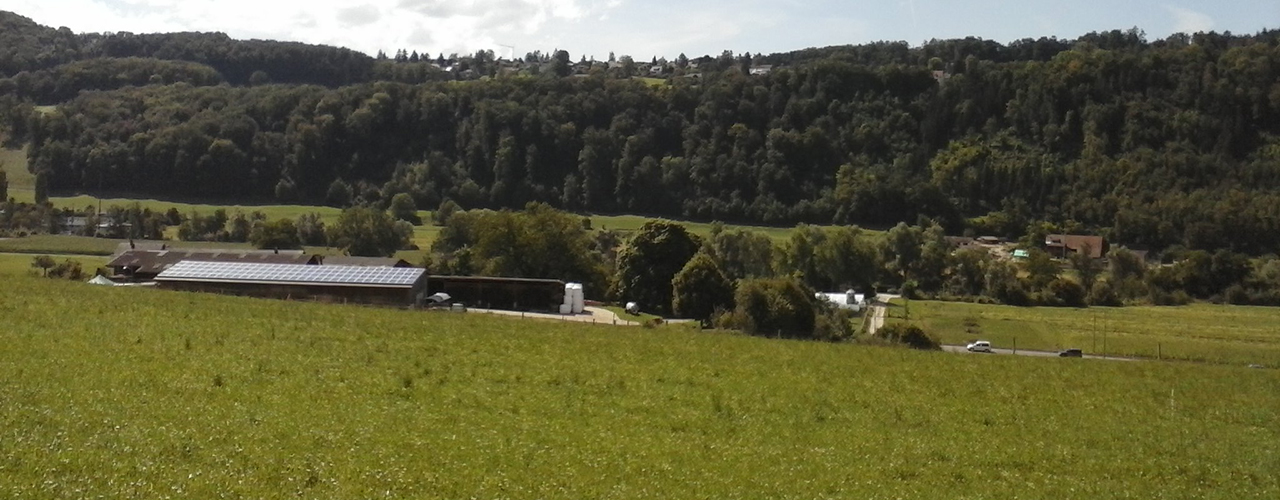 Der Neuhof